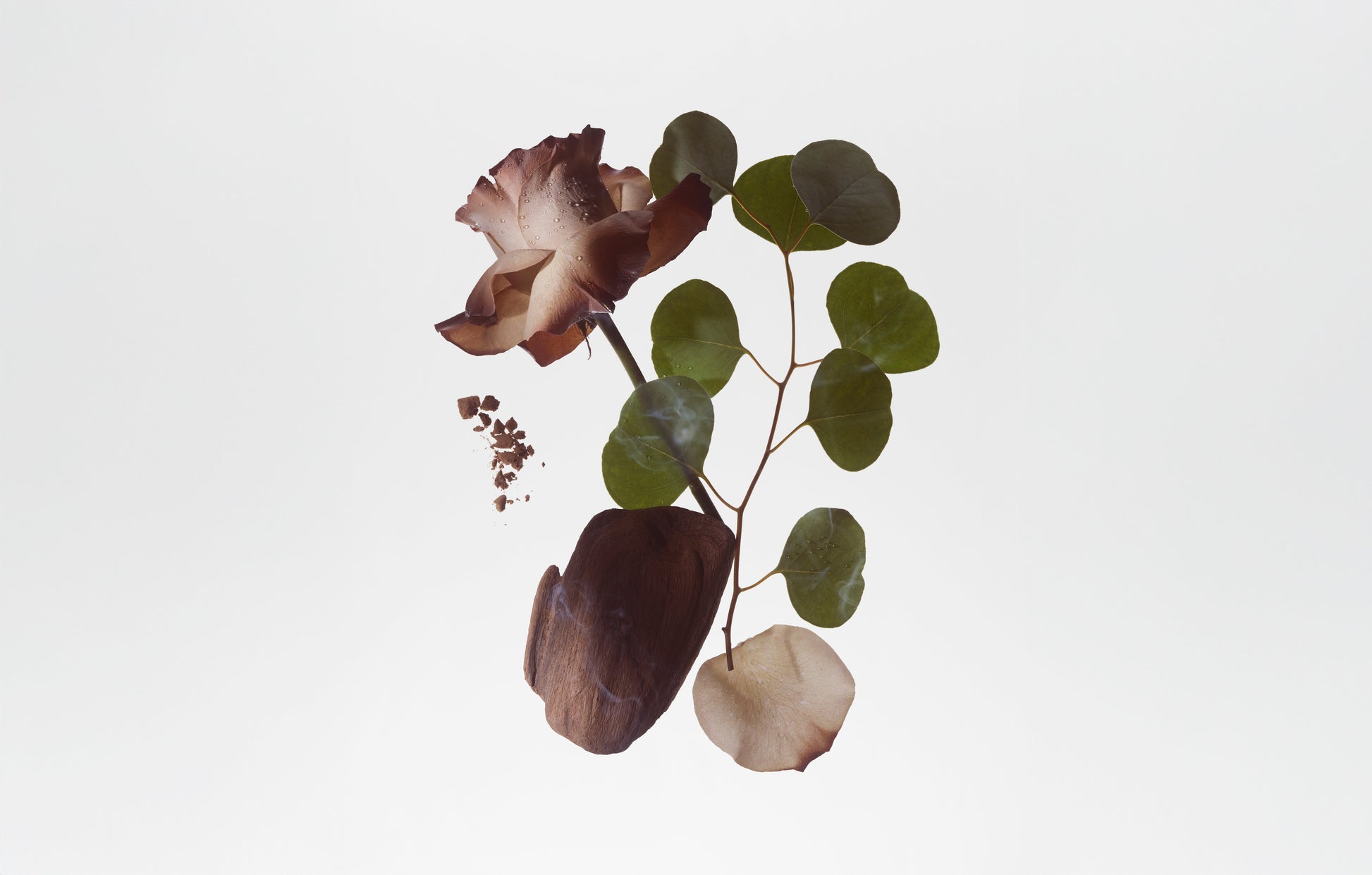 BODY FRAGRANCE  - SMOKED ORRIS - Tree of Life