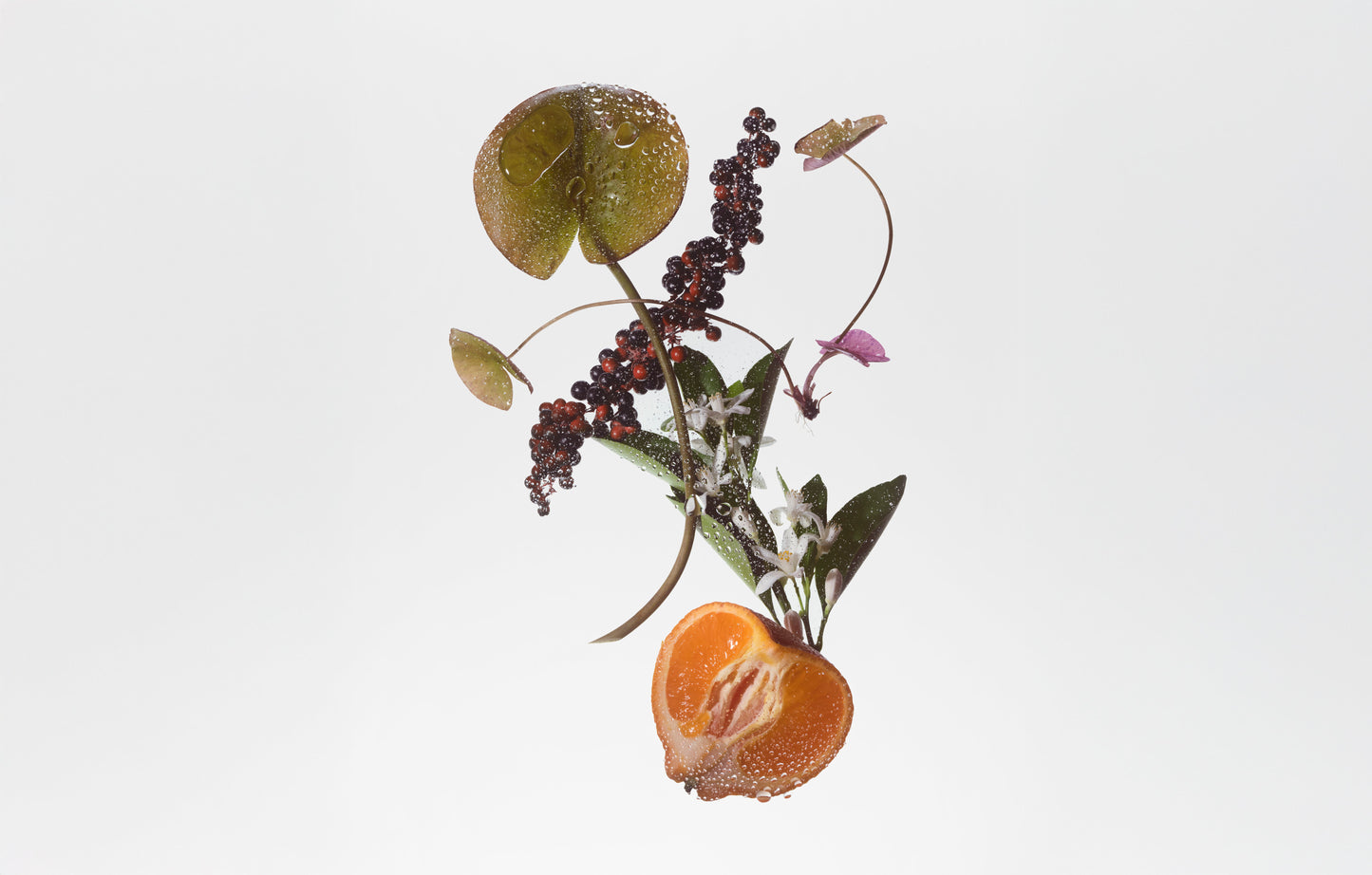 BODY FRAGRANCE- SUEDE MUSK - Tree of Life