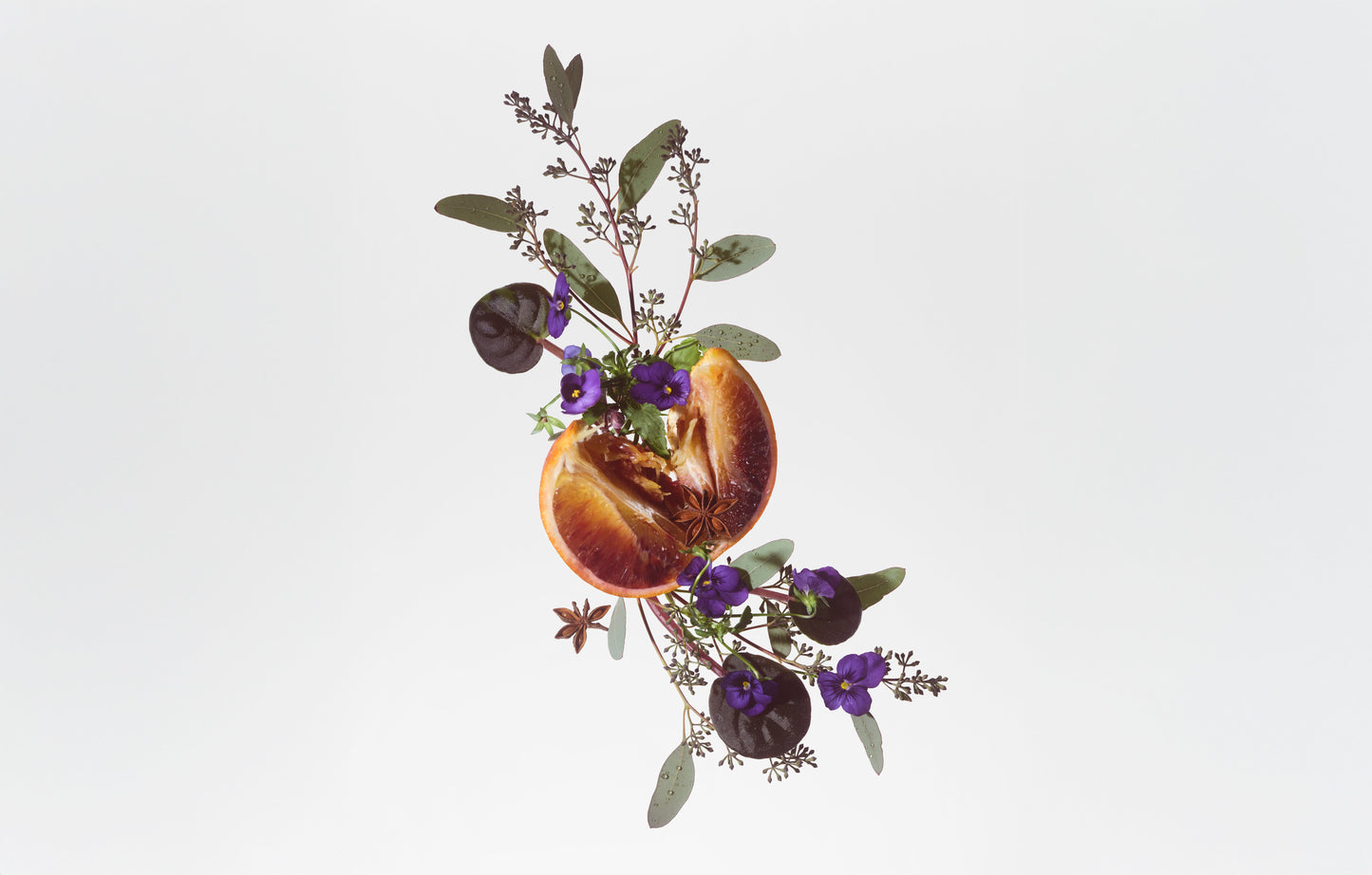 BODY FRAGRANCE - MARINE SALT - Tree of Life