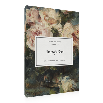 https://cdn.shopify.com/s/files/1/0005/3195/5769/files/SOASRightShopify.png?v=1767902471