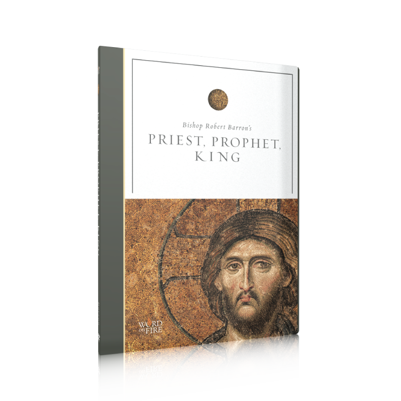 https://cdn.shopify.com/s/files/1/0005/3195/5769/files/Shopify-PPK-DVD.png?v=1760650614