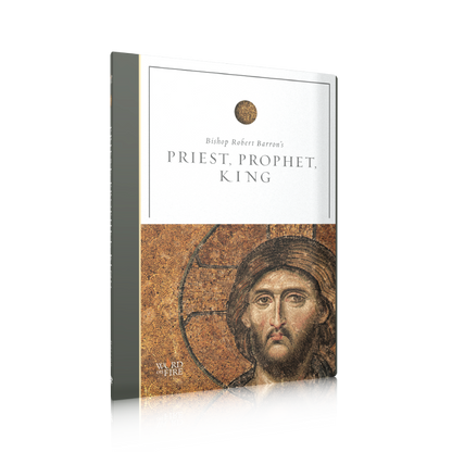 https://cdn.shopify.com/s/files/1/0005/3195/5769/files/Shopify-PPK-DVD.png?v=1760650614