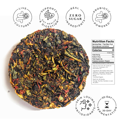 Snow Maple No. 41 | Loose Leaf White Tea - Tree of Life