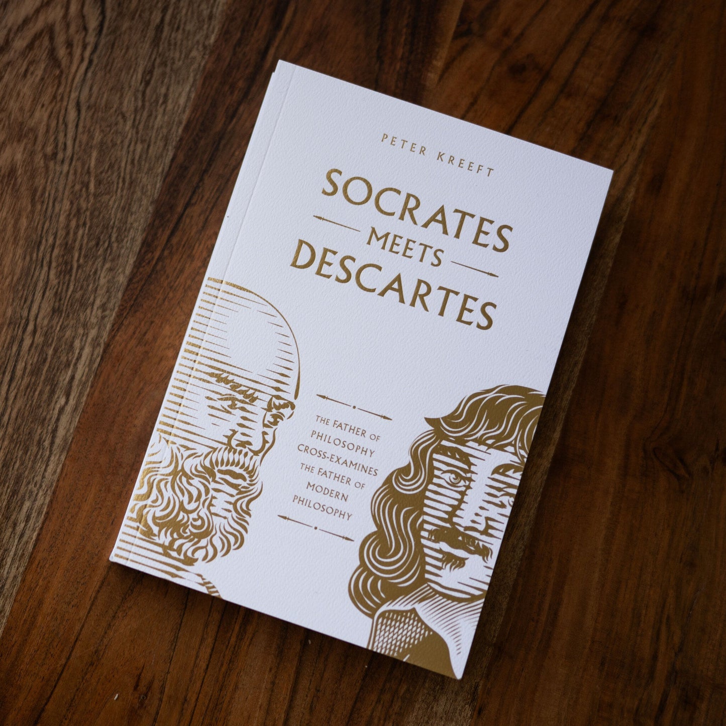https://cdn.shopify.com/s/files/1/0005/3195/5769/files/Socates-Meets-Individual-Descartes.jpg?v=1758317188