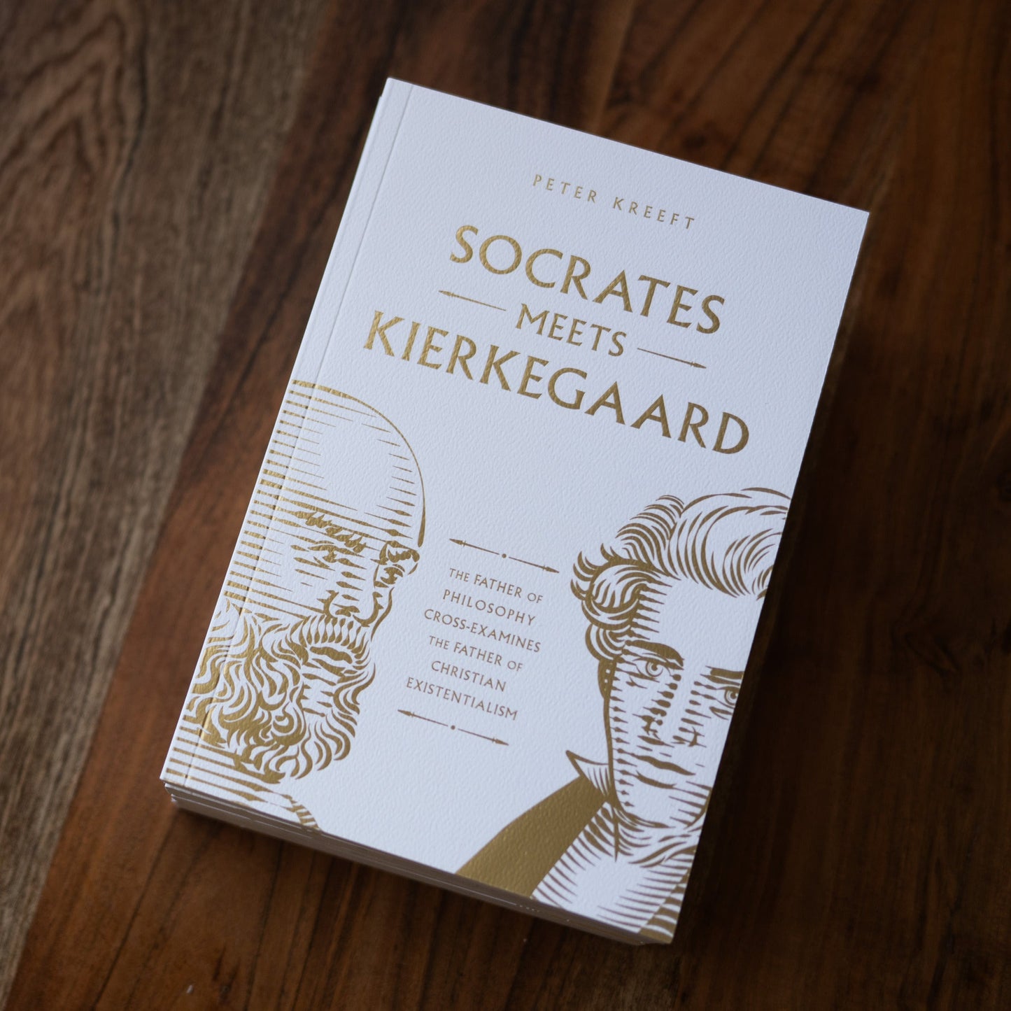 https://bookstore.wordonfire.org/cdn/shop/files/Socates-Meets-Individual-Kierkegaard.jpg