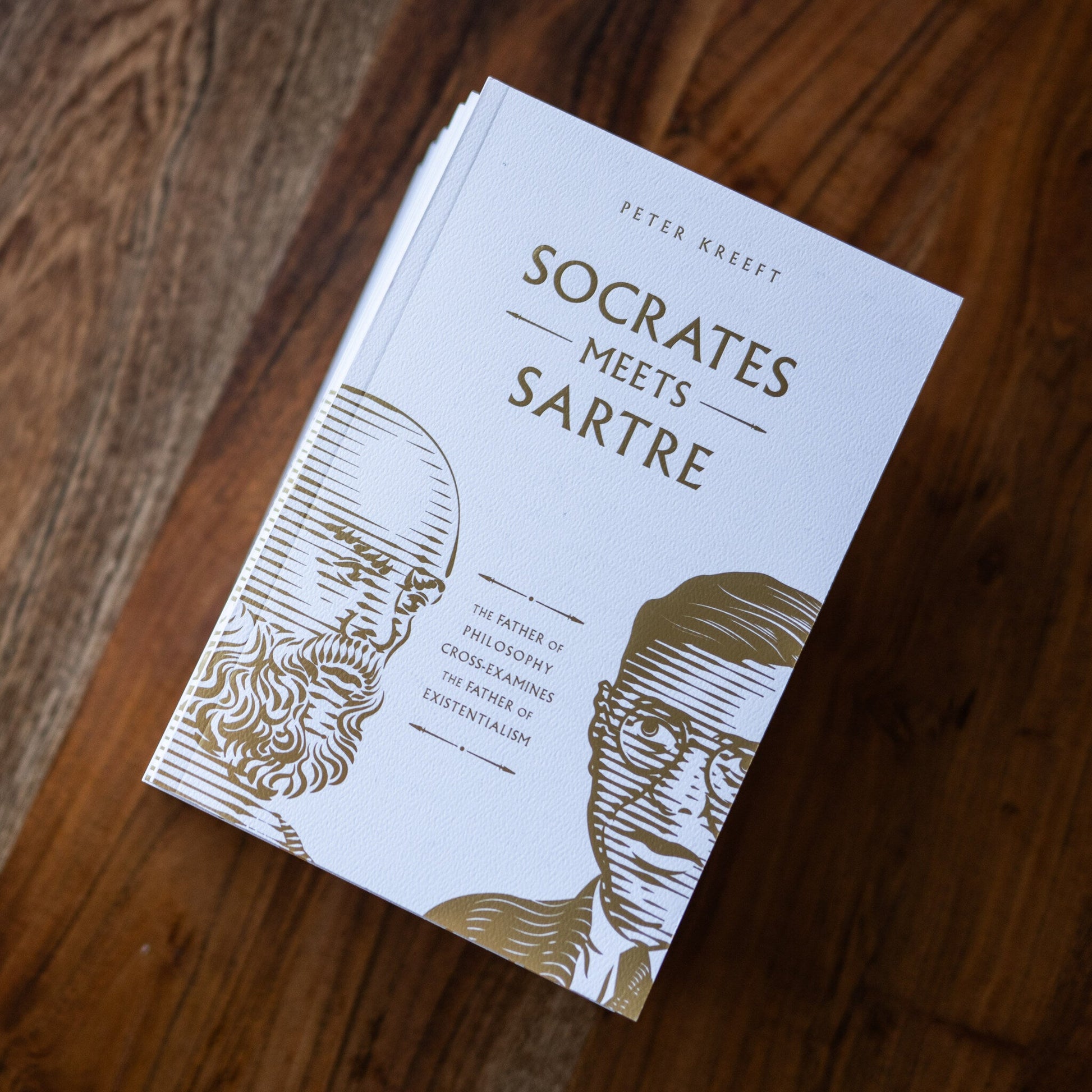 https://cdn.shopify.com/s/files/1/0005/3195/5769/files/Socates-Meets-Individual-Sartre.jpg?v=1758317171