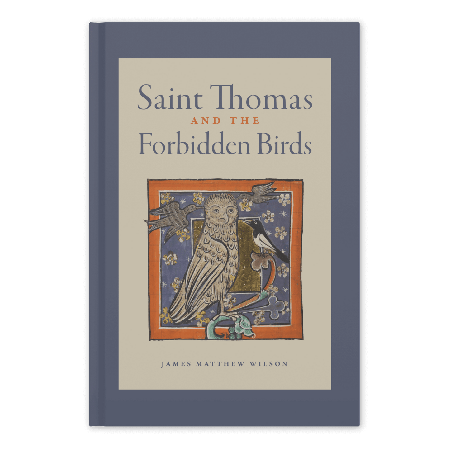 https://cdn.shopify.com/s/files/1/0005/3195/5769/files/St-Thomas-and-the-Forbidden-Birds-SHOPIFY-Front_compressed.png?v=1708101872