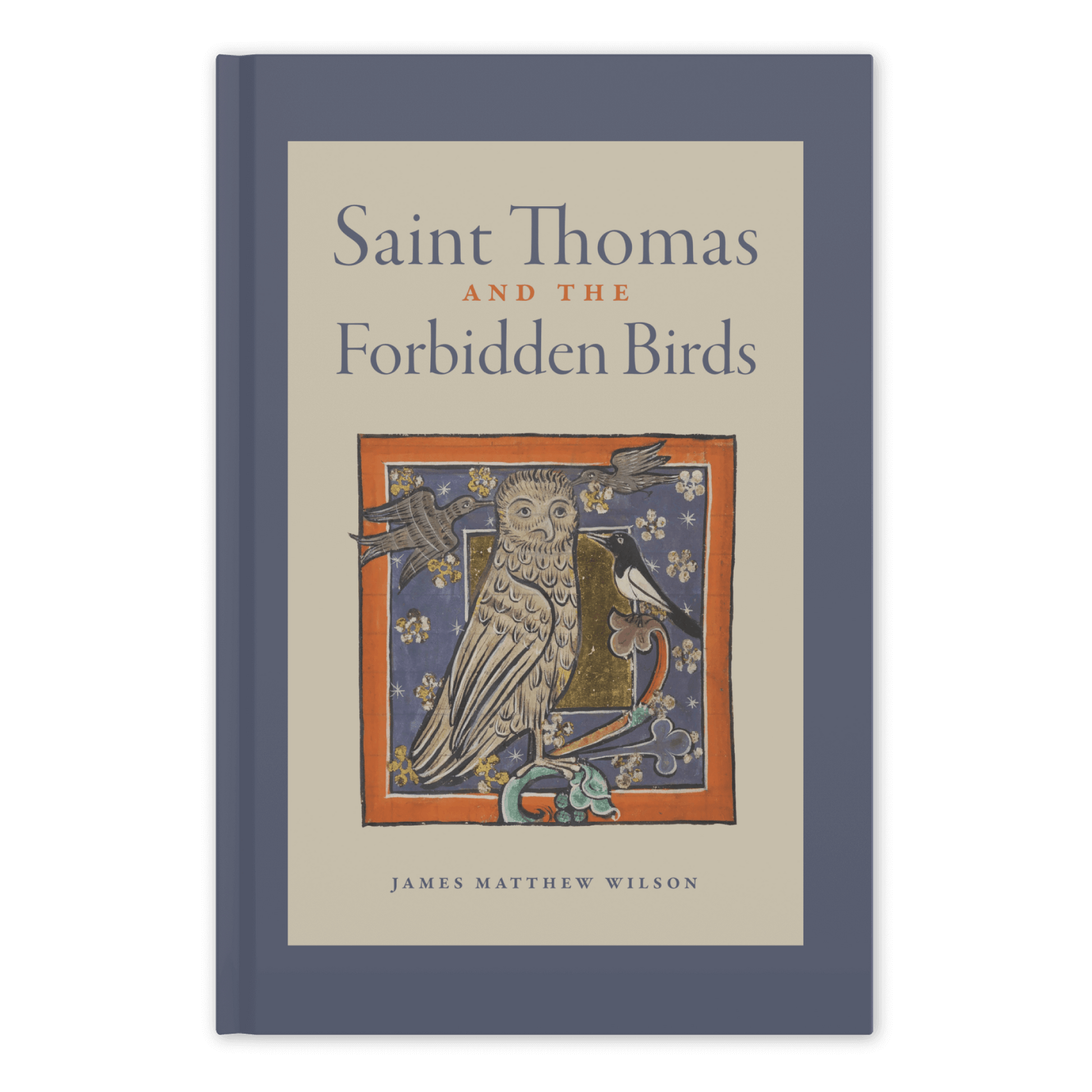 https://cdn.shopify.com/s/files/1/0005/3195/5769/files/St-Thomas-and-the-Forbidden-Birds-SHOPIFY-Front_compressed.png?v=1708101872