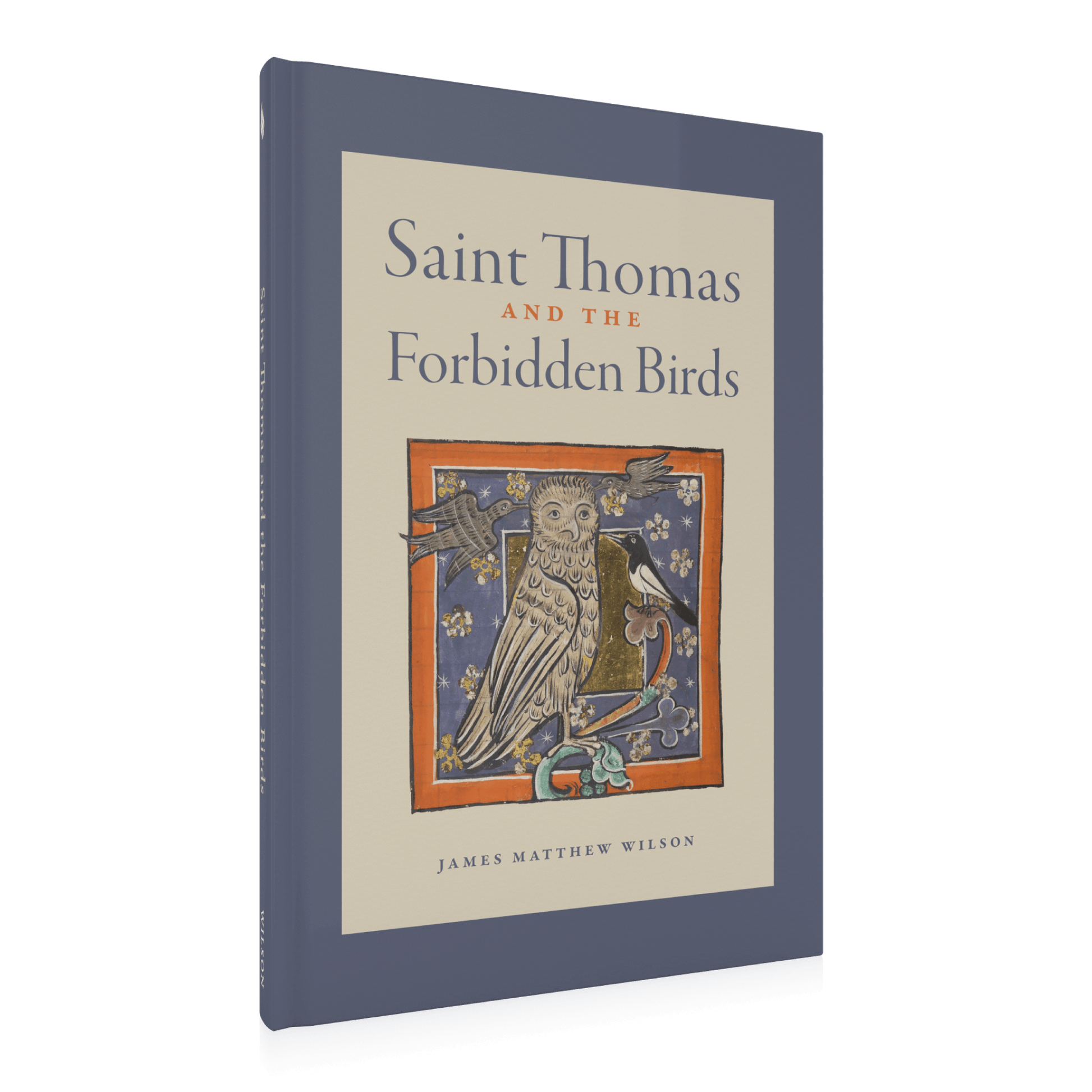 https://cdn.shopify.com/s/files/1/0005/3195/5769/files/St-Thomas-and-the-Forbidden-Birds-SHOPIFY-RIGHT_compressed.png?v=1708101872