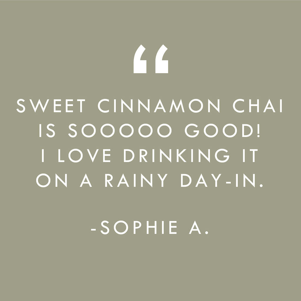 Sweet Cinnamon Chai No. 40 – Spiced Probiotic White Tea Discs - Tree of Life