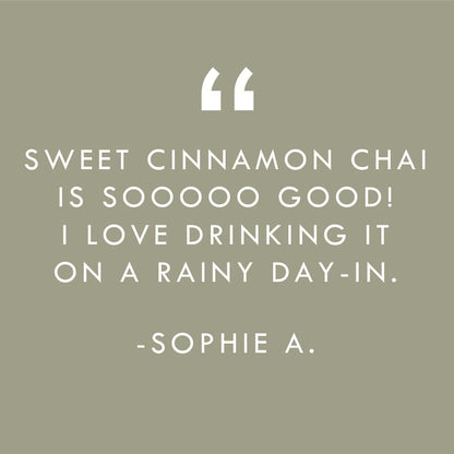 Sweet Cinnamon Chai No. 40 – Spiced Probiotic White Tea Discs - Tree of Life