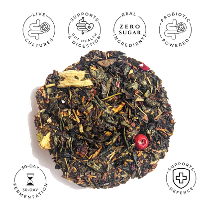 Sweet Cinnamon Chai No. 40 – Spiced Probiotic White Tea Discs - Tree of Life