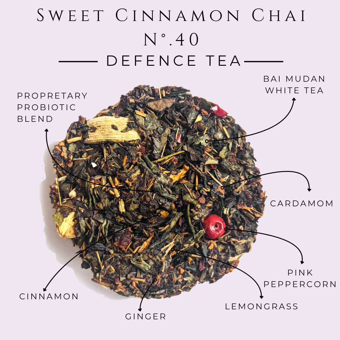 Sweet Cinnamon Chai No. 40 – Spiced Probiotic White Tea Discs - Tree of Life
