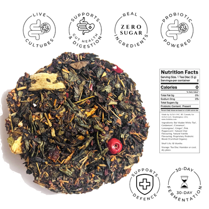 Sweet Cinnamon Chai No. 40 – Spiced Probiotic White Tea Discs - Tree of Life