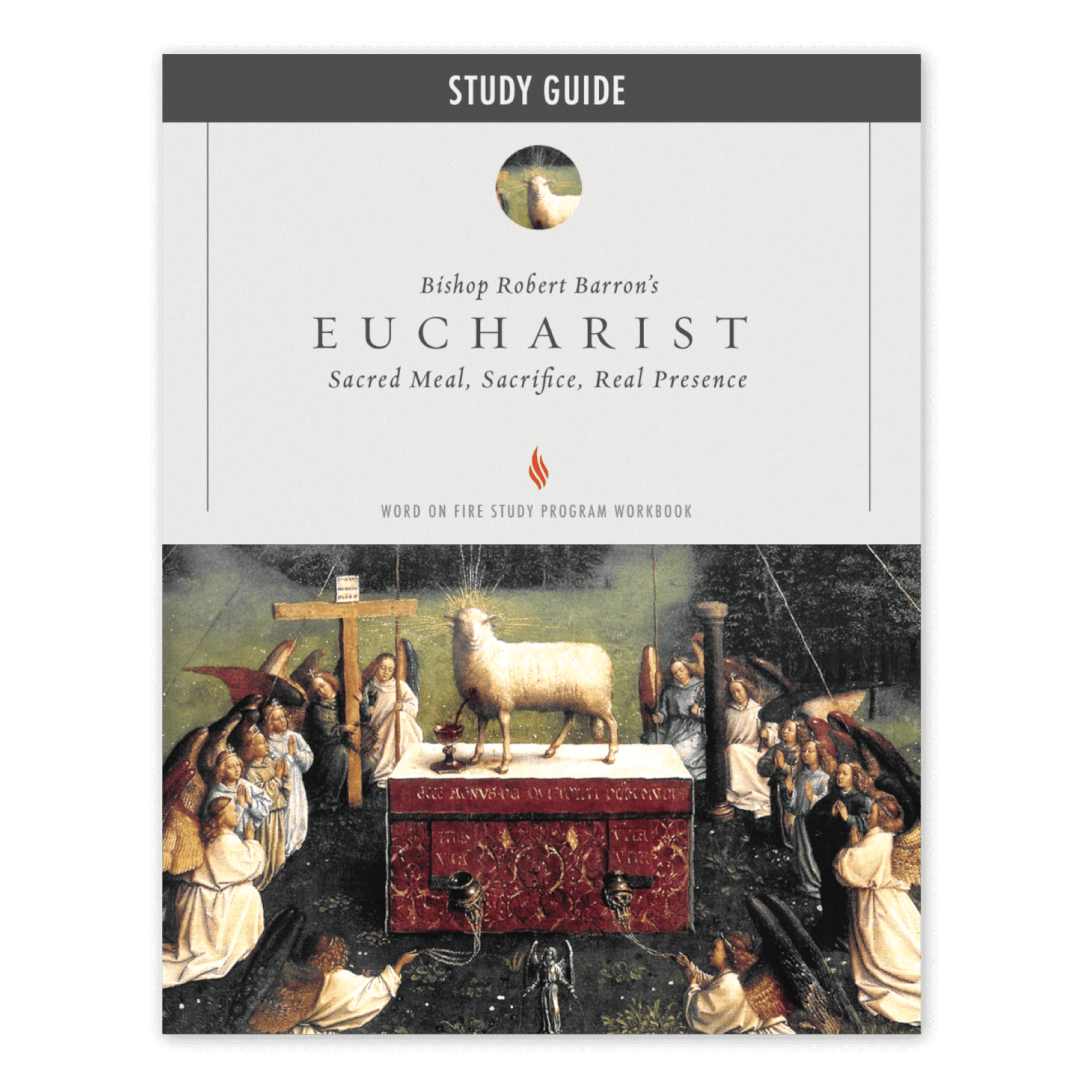 https://cdn.shopify.com/s/files/1/0005/3195/5769/files/The-Eucharist_Study-Guide_SHOPIFY_Front.png?v=1751924199