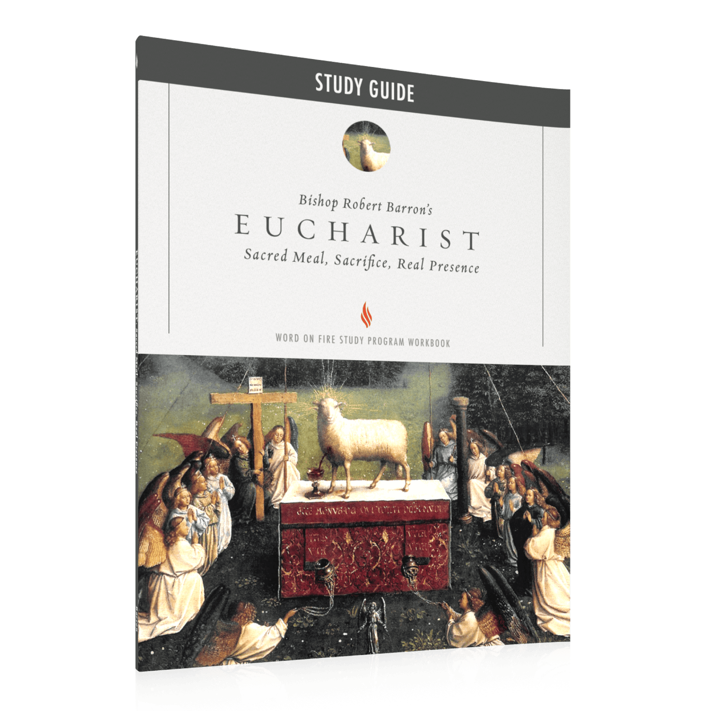 https://cdn.shopify.com/s/files/1/0005/3195/5769/files/The-Eucharist_Study-Guide_SHOPIFY_Right.png?v=1751924199