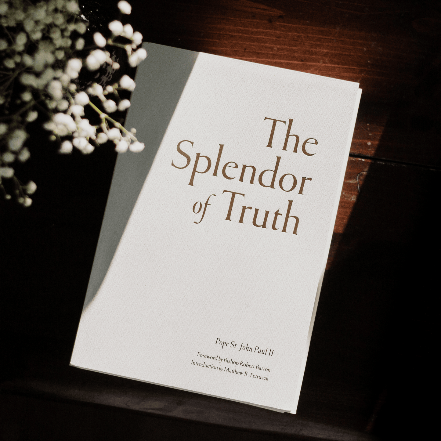 https://cdn.shopify.com/s/files/1/0005/3195/5769/files/The-Splendor-of_Truth_image-1.png?v=1758317116