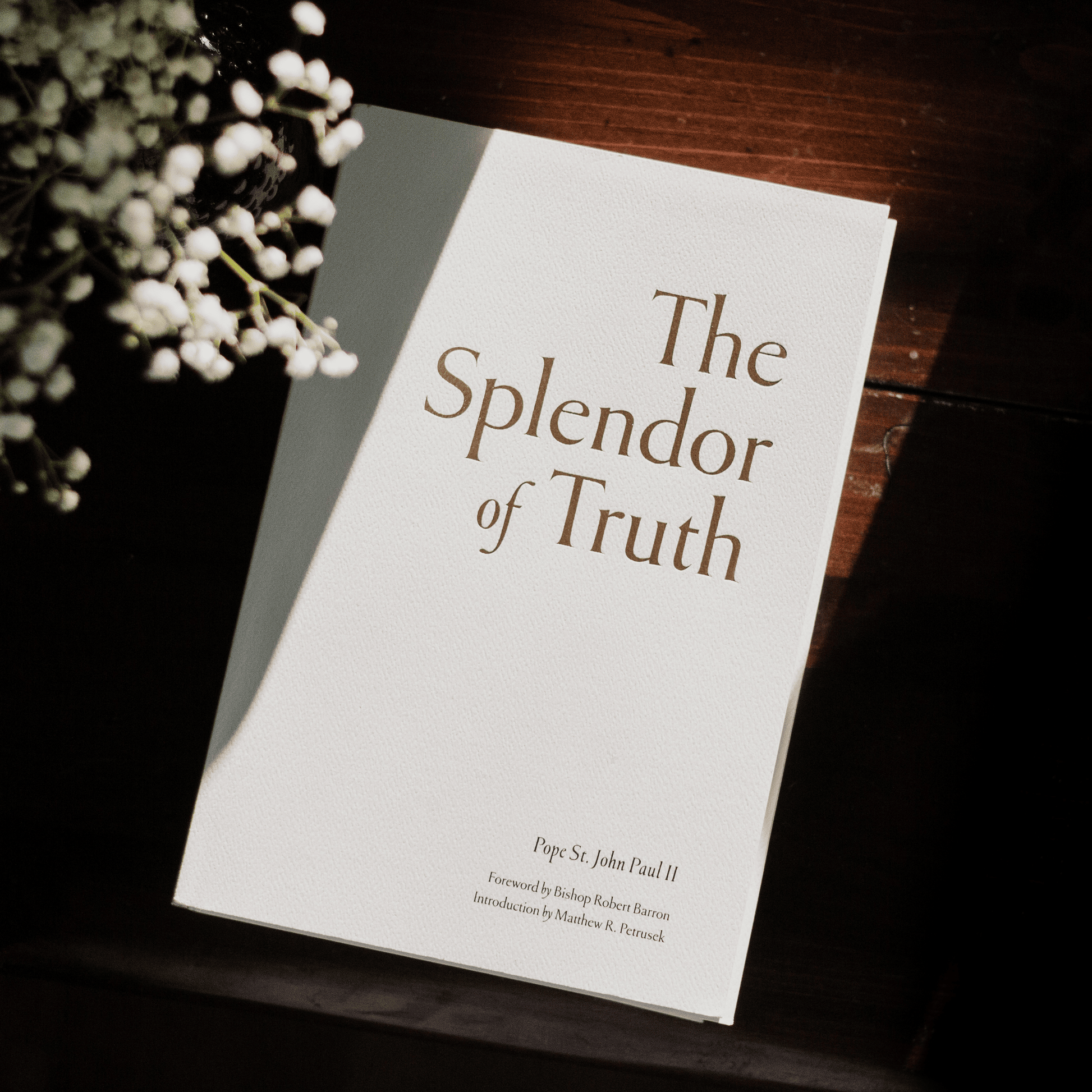 https://cdn.shopify.com/s/files/1/0005/3195/5769/files/The-Splendor-of_Truth_image-1.png?v=1758317116