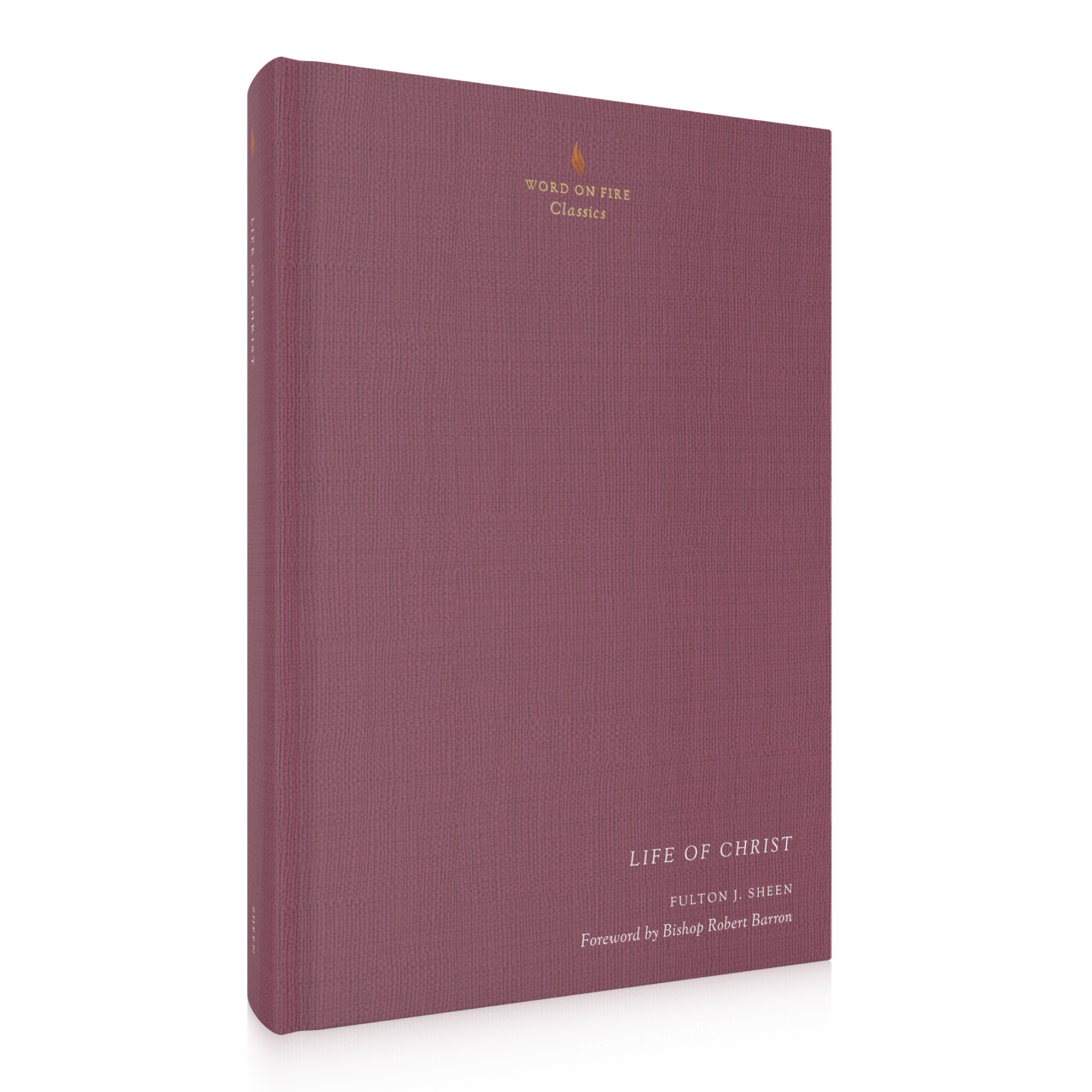 https://cdn.shopify.com/s/files/1/0005/3195/5769/products/WOF-Classics-Life-of-Christ-SHOPIFY-Right.png?v=1676926428