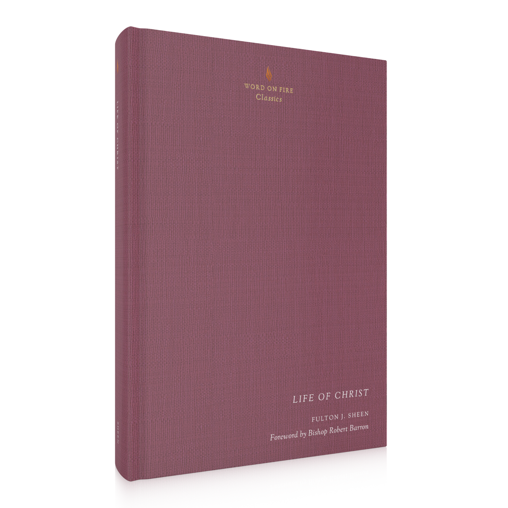 https://cdn.shopify.com/s/files/1/0005/3195/5769/products/WOF-Classics-Life-of-Christ-SHOPIFY-Right.png?v=1676926428