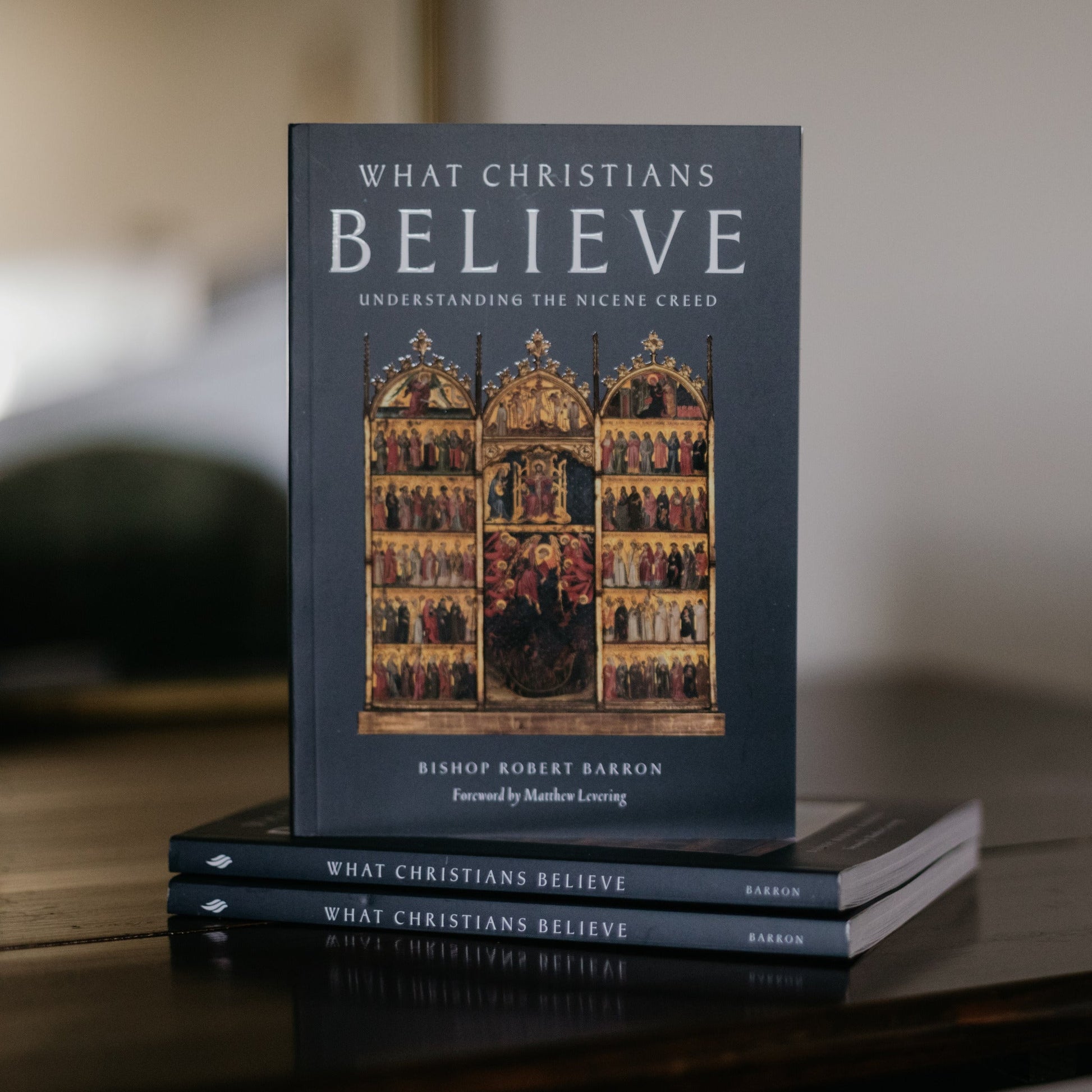 https://cdn.shopify.com/s/files/1/0005/3195/5769/files/What-Christians-Believe-15_1.jpg?v=1758314035