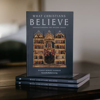 https://cdn.shopify.com/s/files/1/0005/3195/5769/files/What-Christians-Believe-15_1.jpg?v=1758314035