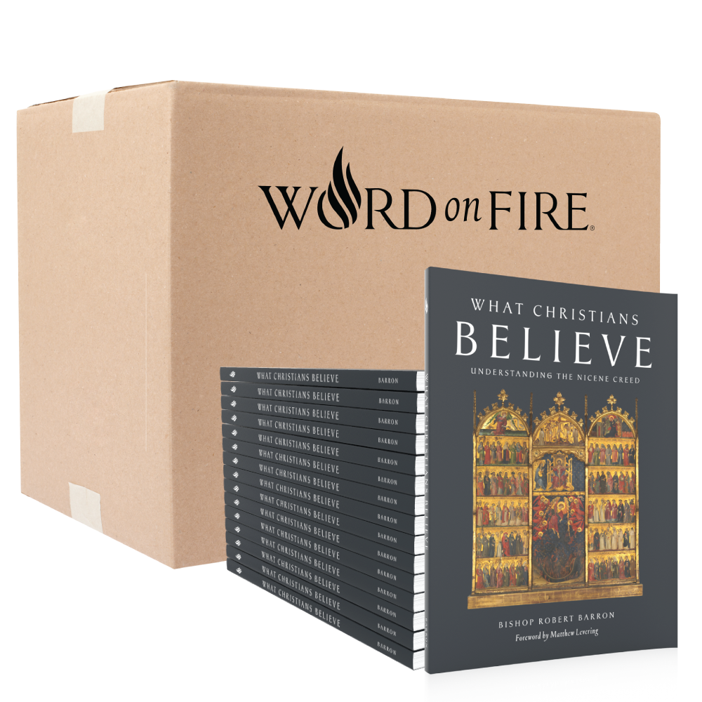https://cdn.shopify.com/s/files/1/0005/3195/5769/files/What-Christians-Believe-Shopify-Stack.png?v=1739382383