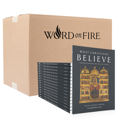 https://cdn.shopify.com/s/files/1/0005/3195/5769/files/What-Christians-Believe-Shopify-Stack.png?v=1739382383