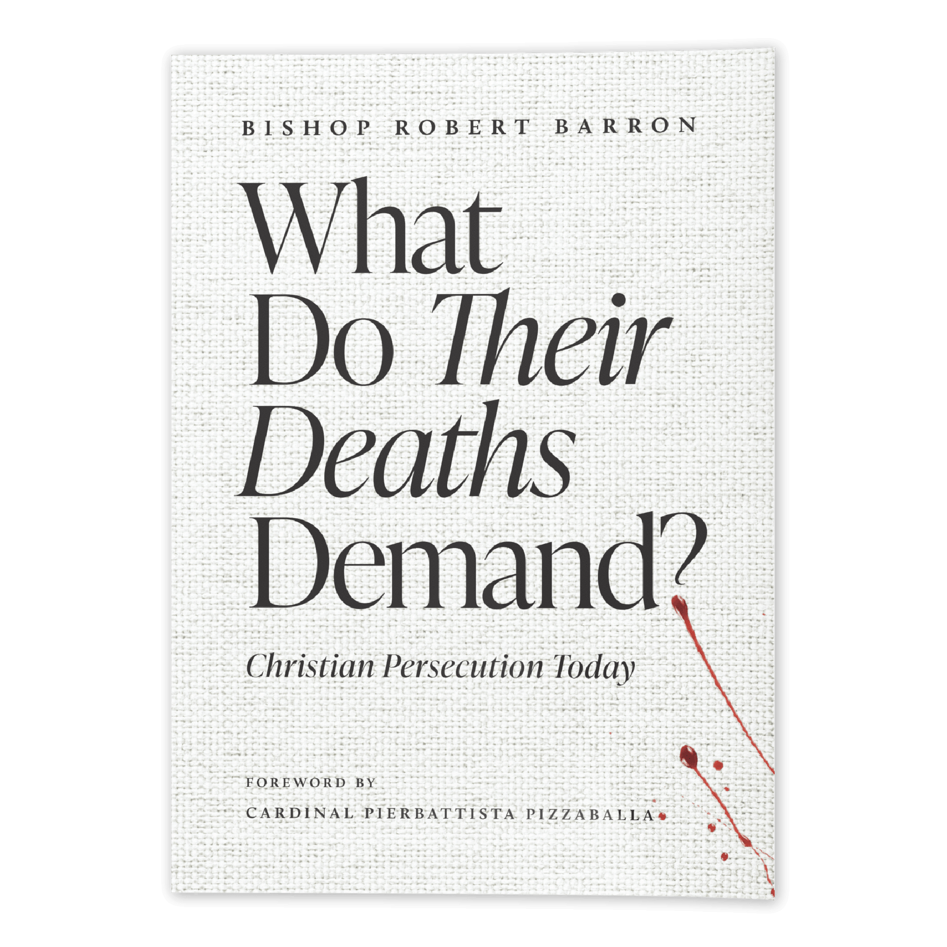 https://cdn.shopify.com/s/files/1/0005/3195/5769/files/WhatDoTheirDeathsDemand-SHOPIFY-Front_1.png?v=1775492701