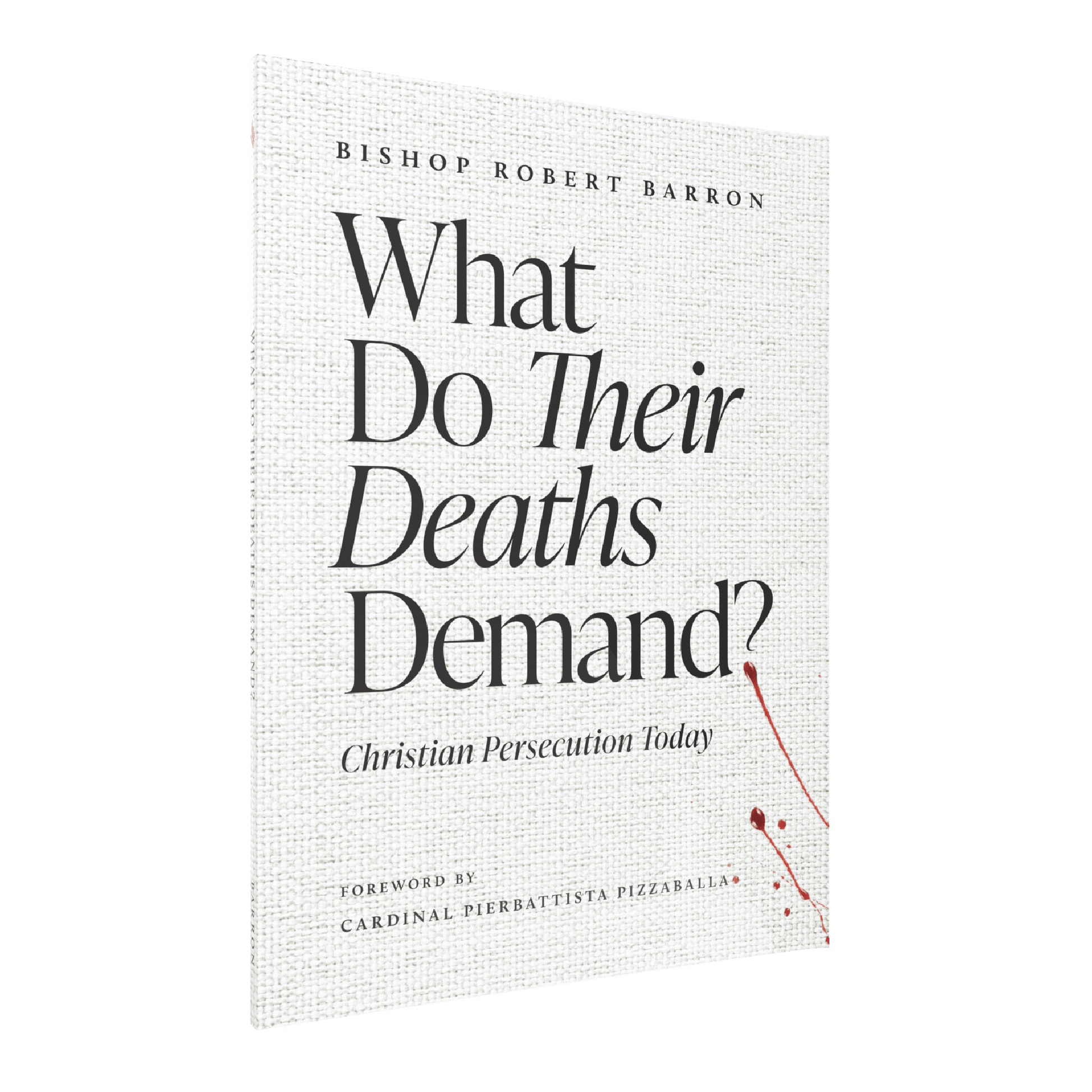 https://cdn.shopify.com/s/files/1/0005/3195/5769/files/WhatDoTheirDeathsDemand-SHOPIFY-Right_2.png?v=1775849954