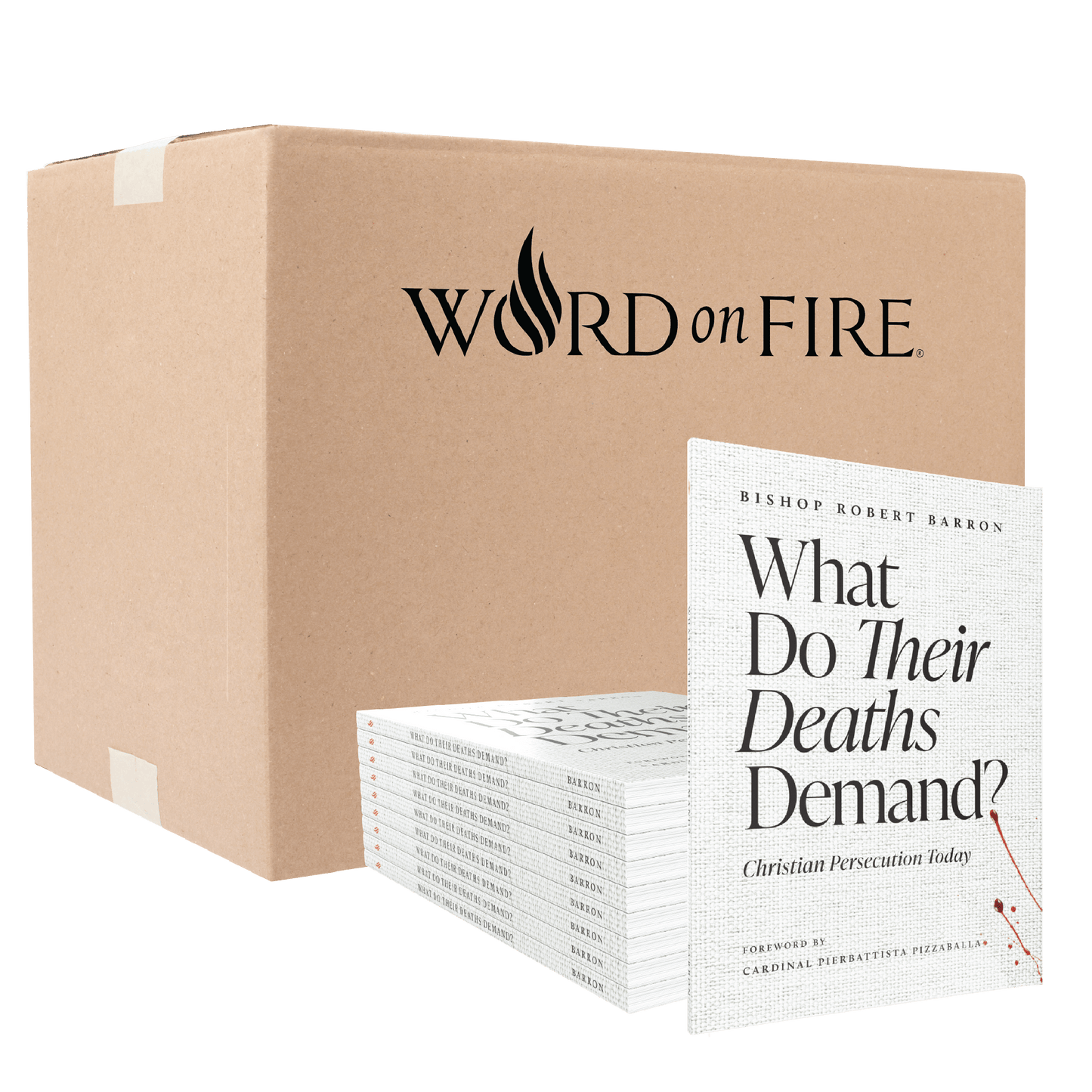 https://cdn.shopify.com/s/files/1/0005/3195/5769/files/WhatDoTheirDeathsDemand_StackandBulkCardboardBox_1.png?v=1775492701
