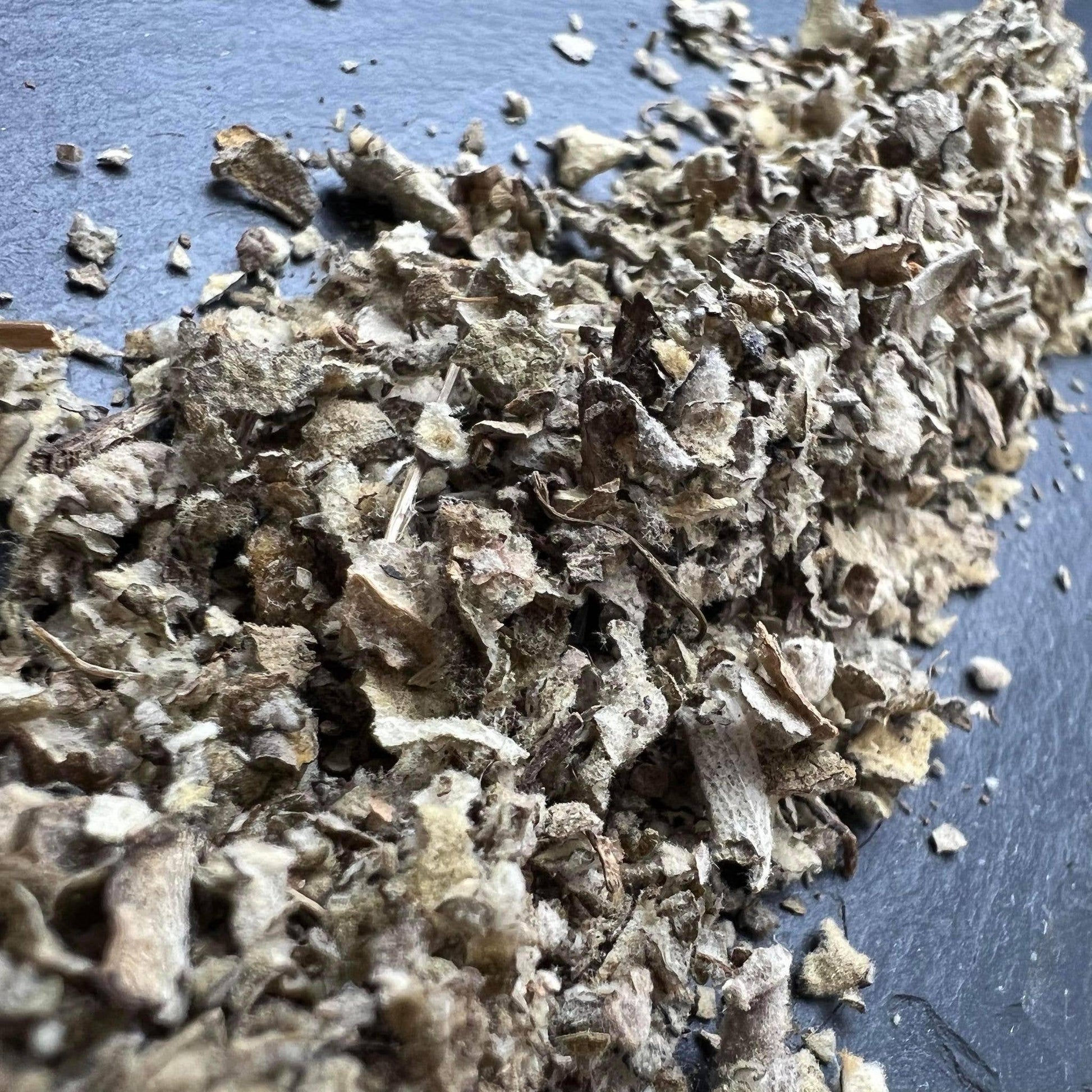 Mullein 1 oz. - Tree of Life