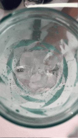 X  Ice Crushing Portable Blender (24oz)