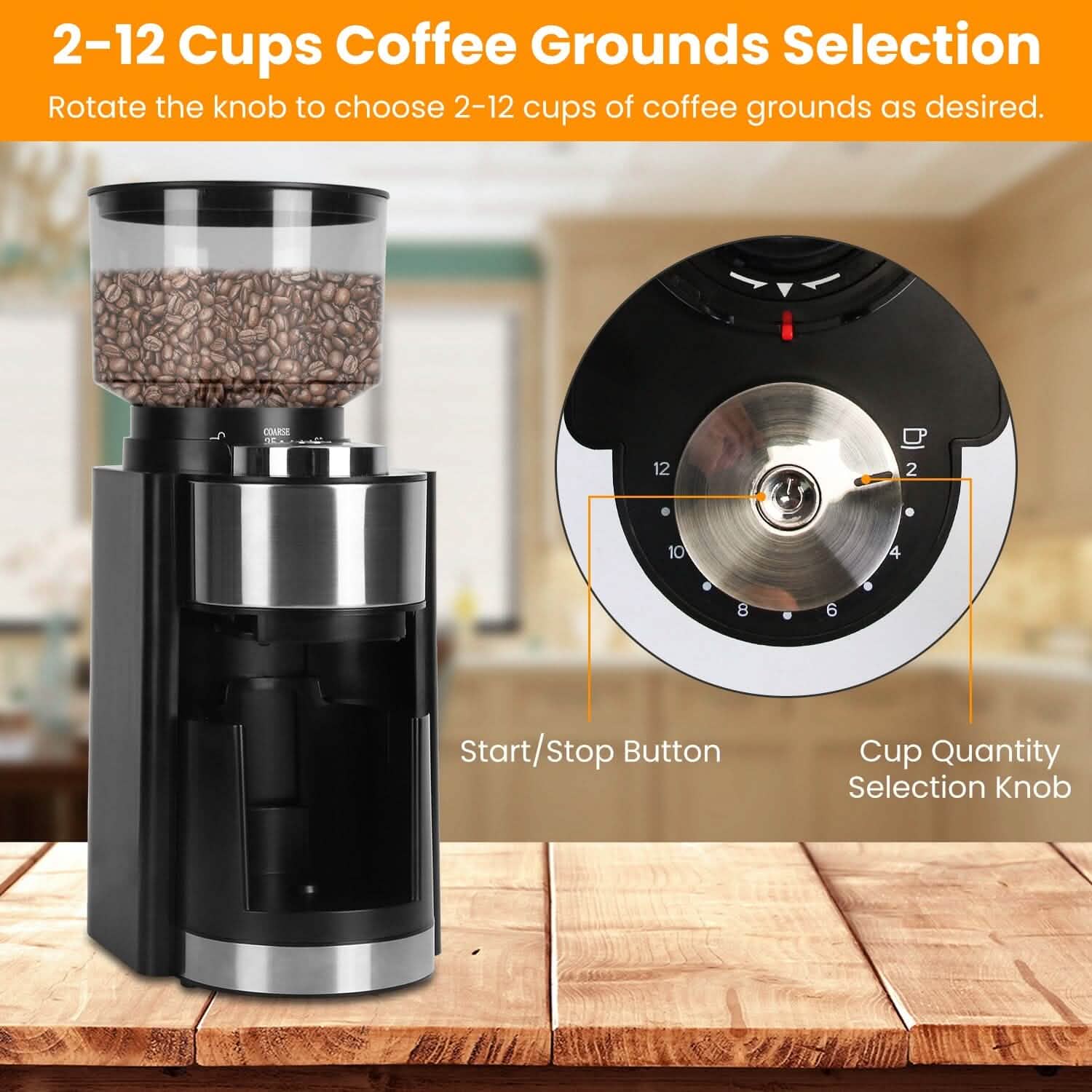 Conical Bur Coffee Bean Electric Grinder with 25 Grind Settings - Tree of Life