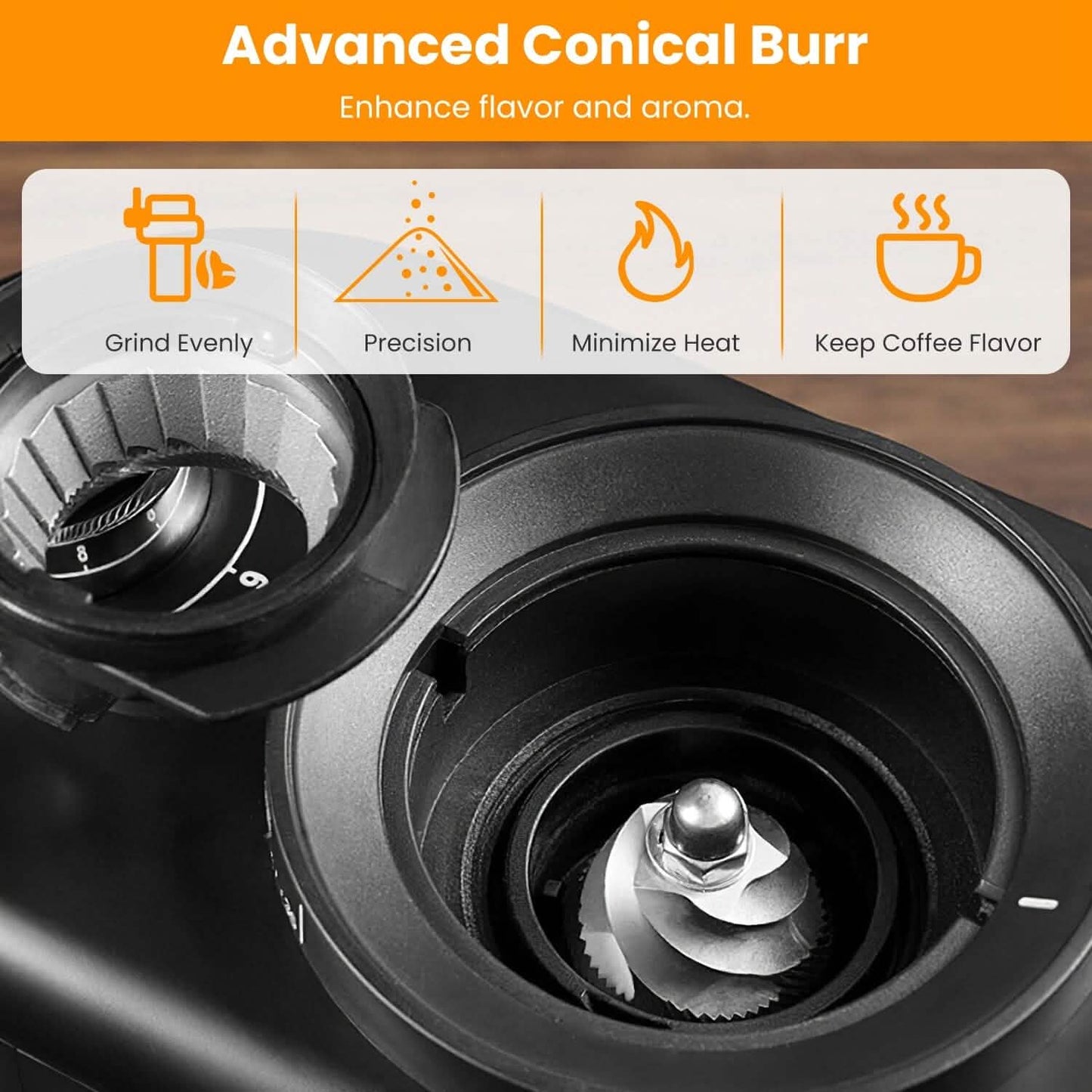 Conical Bur Coffee Bean Electric Grinder with 25 Grind Settings - Tree of Life
