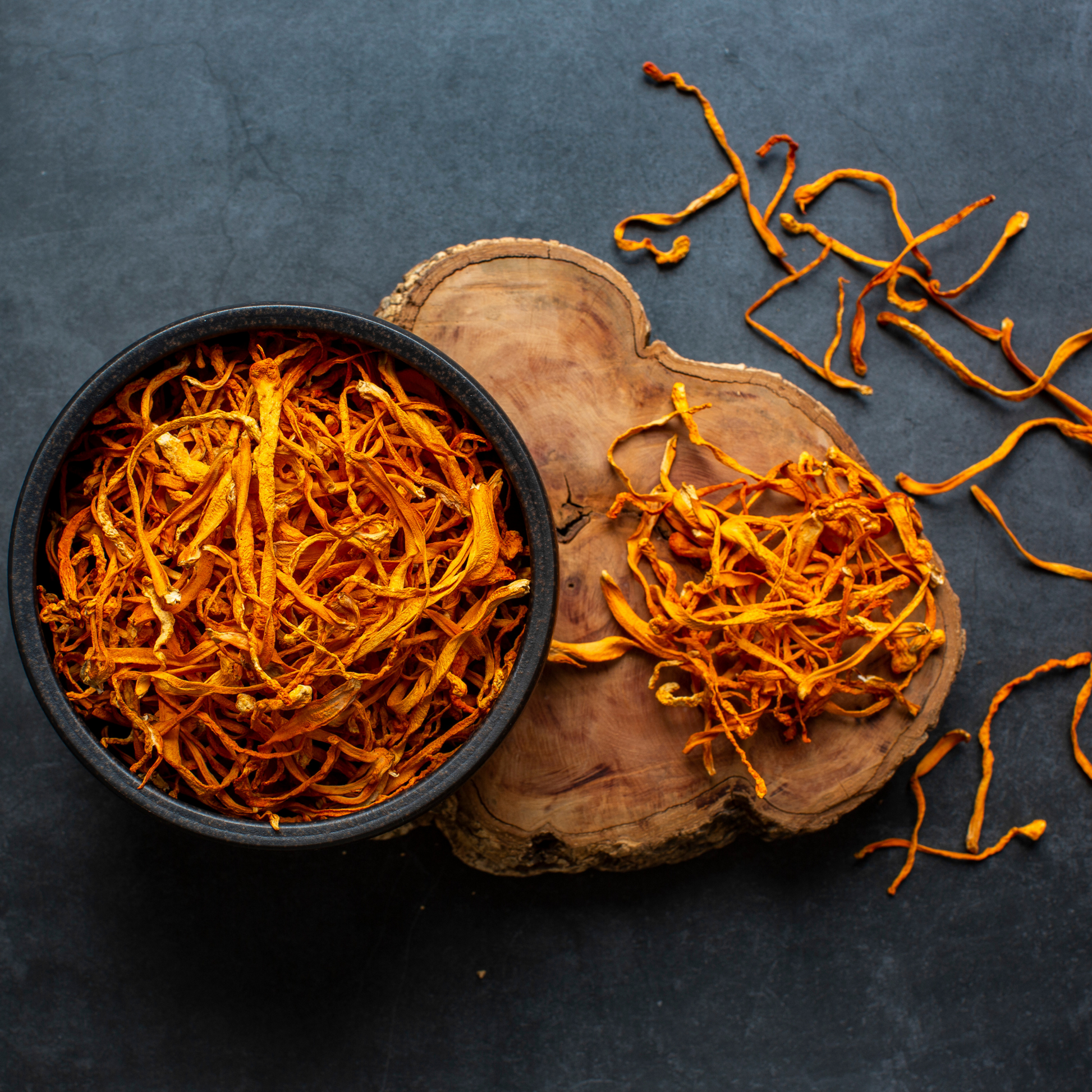 Summit Reserve™ Cordyceps & Lion's Mane Mushroom Chocolate Squares - Tree of Life