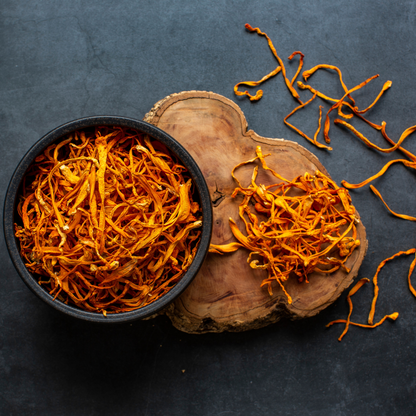 Summit Reserve™ Cordyceps & Lion's Mane Mushroom Chocolate Squares - Tree of Life