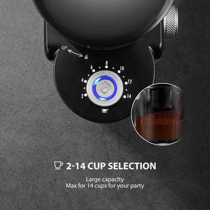 Electric Burr Coffee Grinder with 18 Settings - Tree of Life