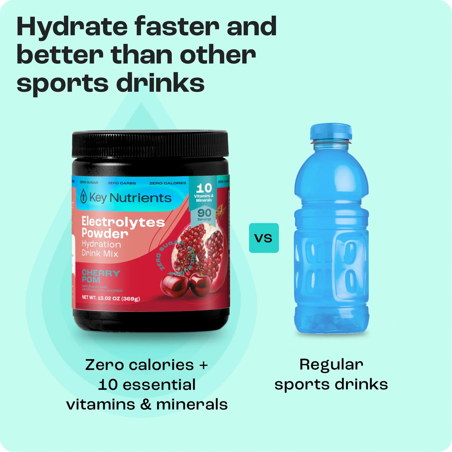Electrolyte Recovery Plus Powder (Sugar-Free) - Tree of Life