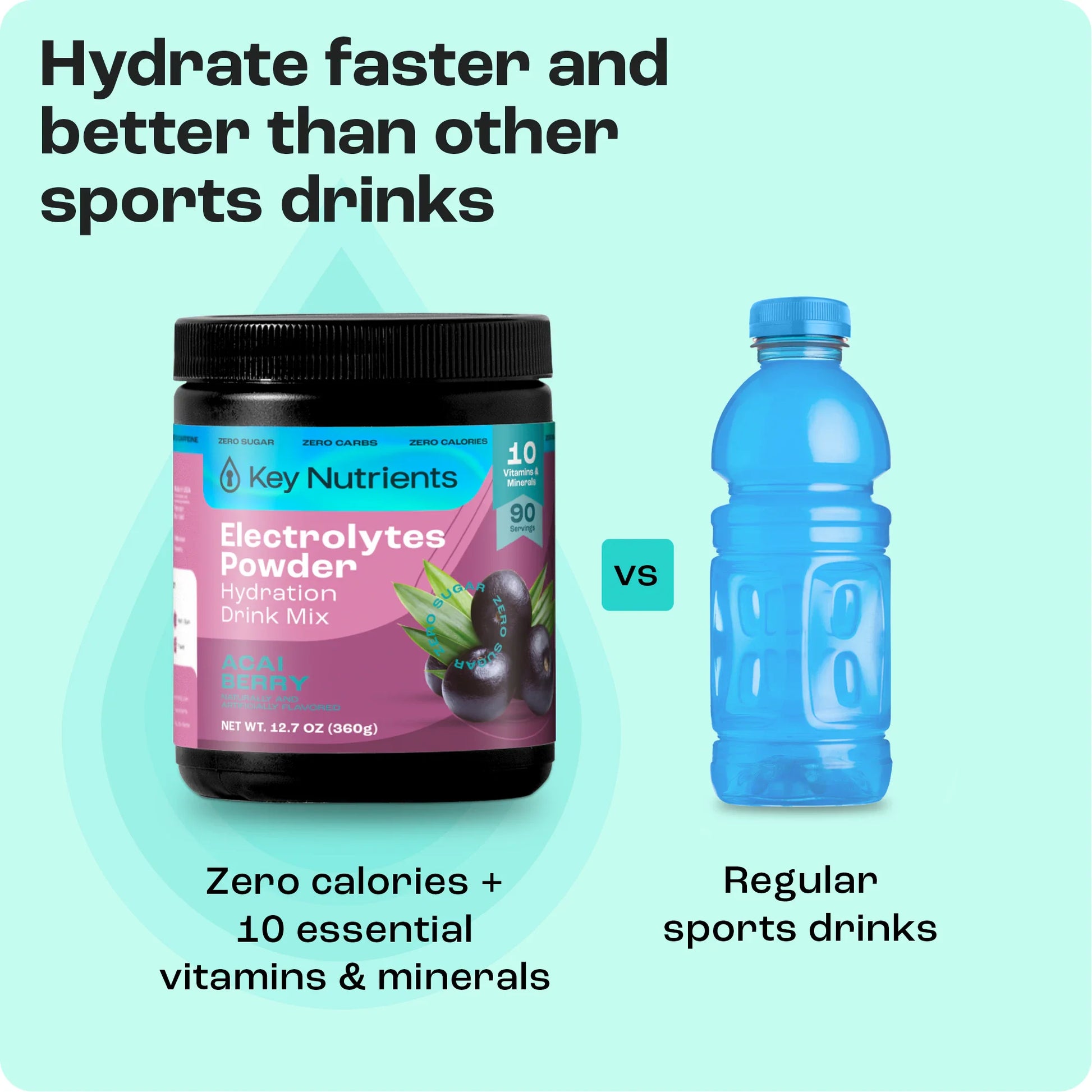 Electrolyte Recovery Plus Powder (Sugar-Free) - Tree of Life