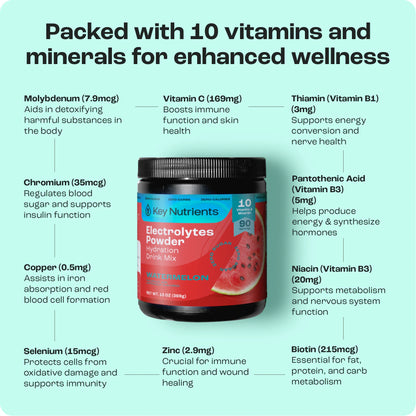Electrolyte Recovery Plus Powder (Sugar-Free) - Tree of Life