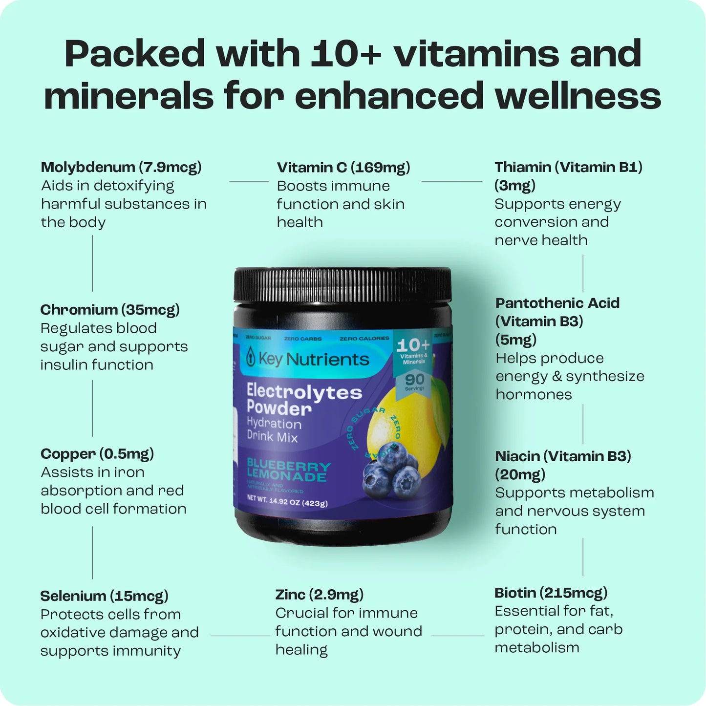Electrolyte Recovery Plus Powder (Sugar-Free) - Tree of Life