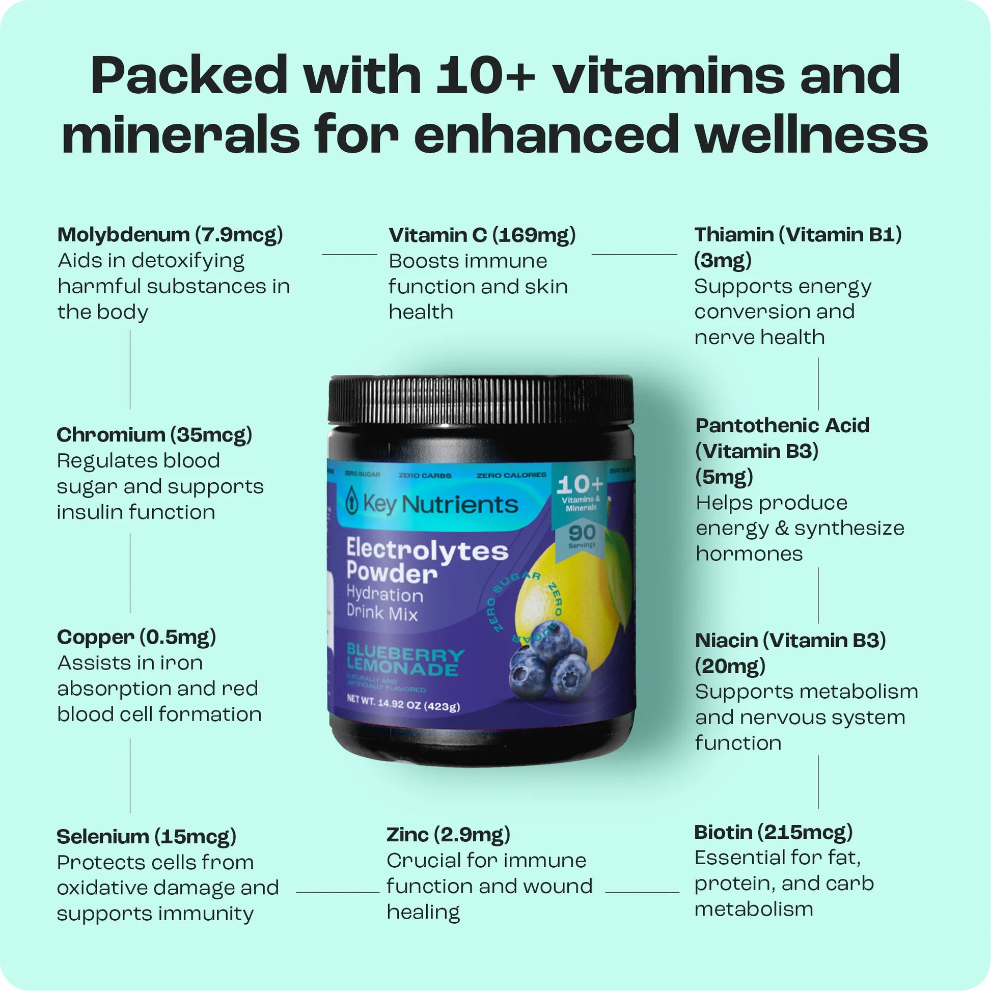 Electrolyte Recovery Plus Powder (Sugar-Free) - Tree of Life