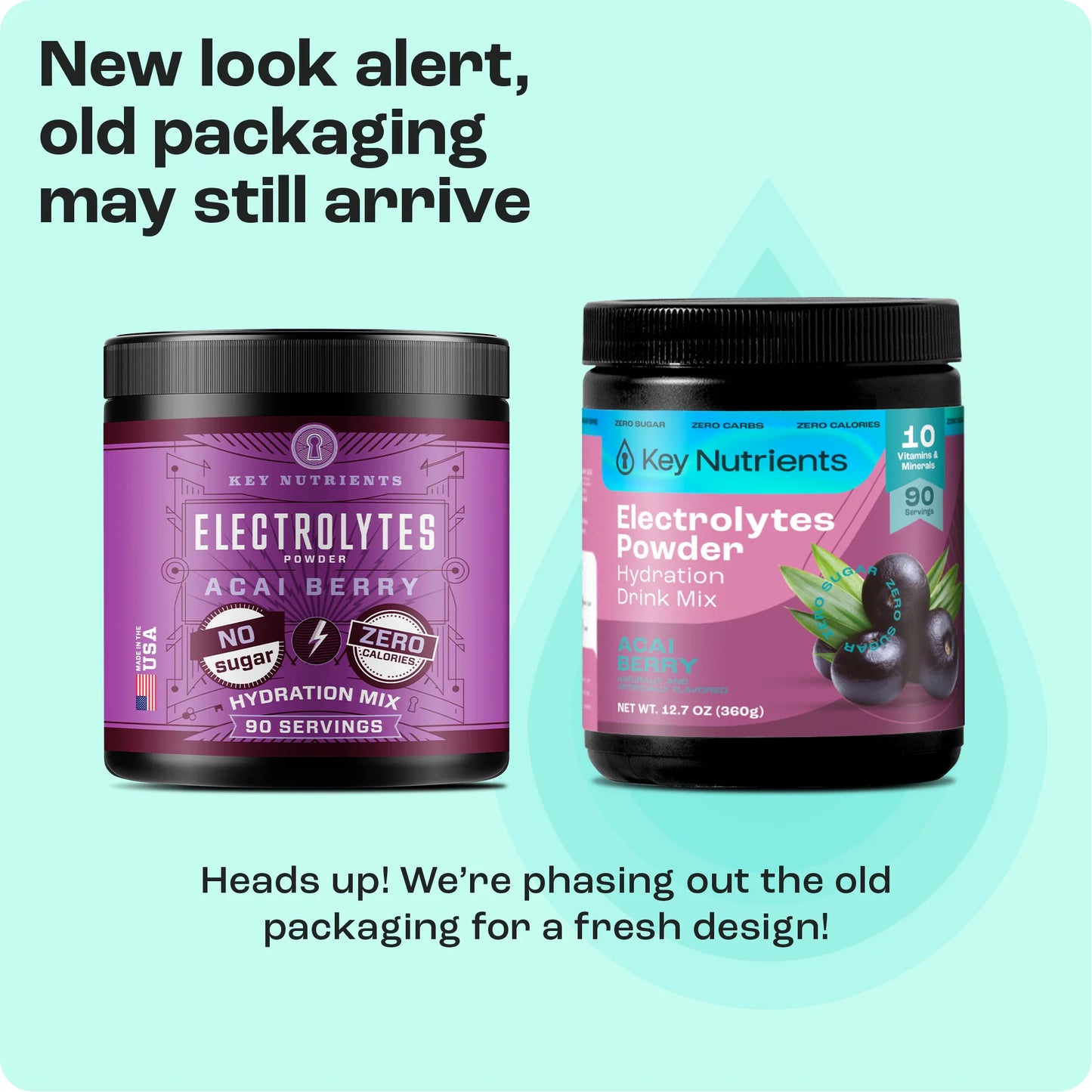 Electrolyte Recovery Plus Powder (Sugar-Free) - Tree of Life