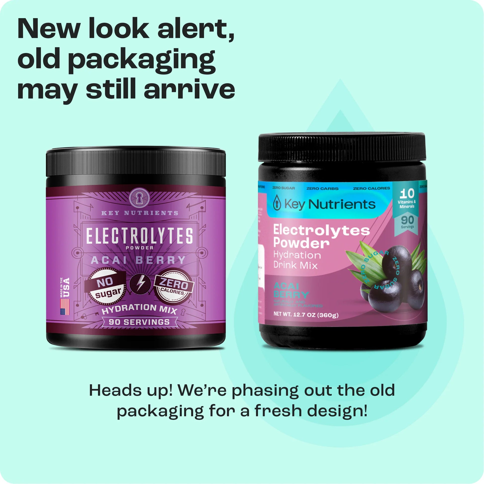 Electrolyte Recovery Plus Powder (Sugar-Free) - Tree of Life