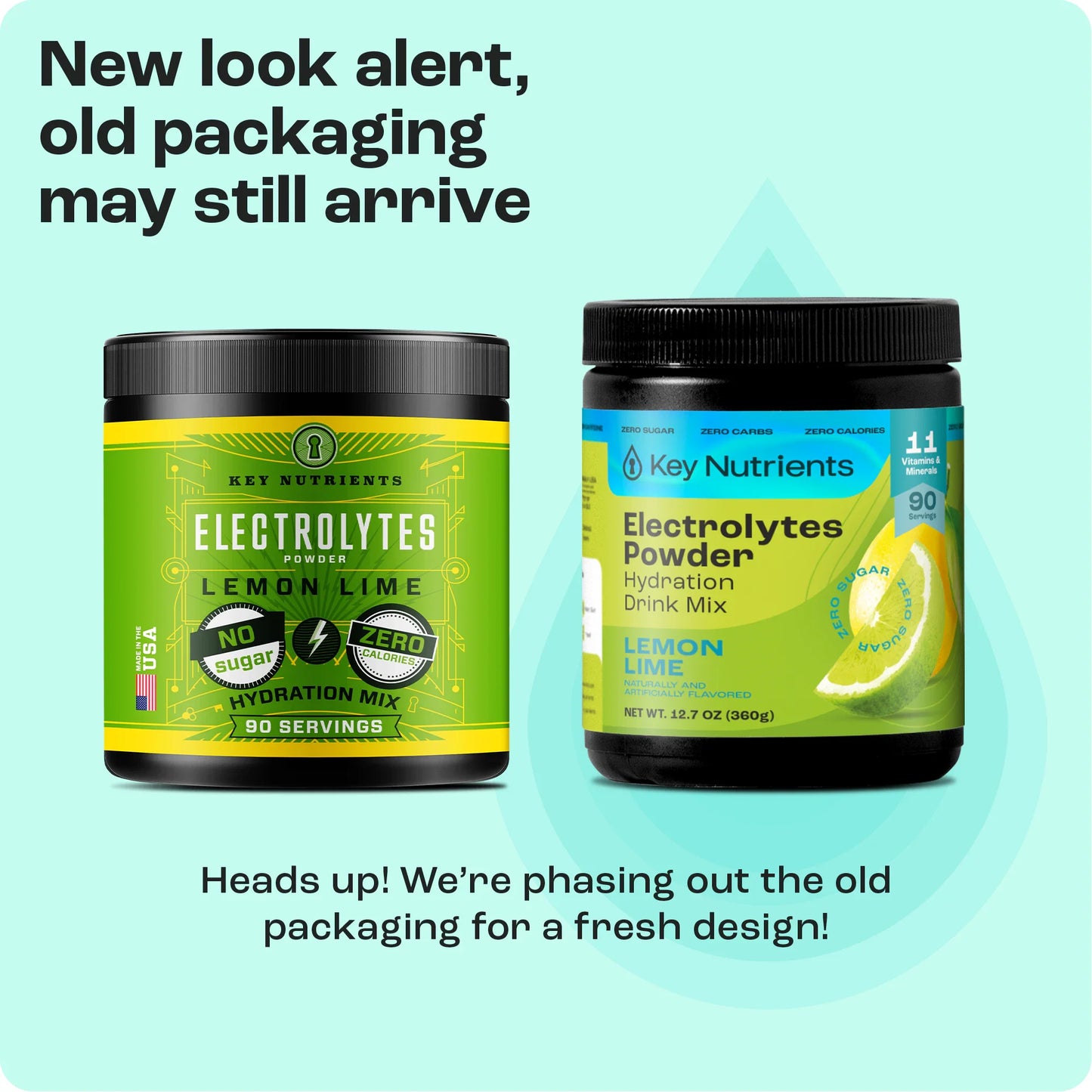 Electrolyte Recovery Plus Powder (Sugar-Free) - Tree of Life