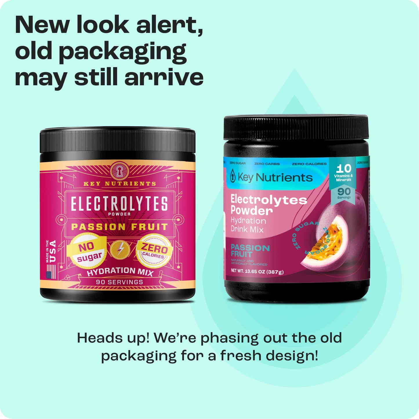 Electrolyte Recovery Plus Powder (Sugar-Free) - Tree of Life
