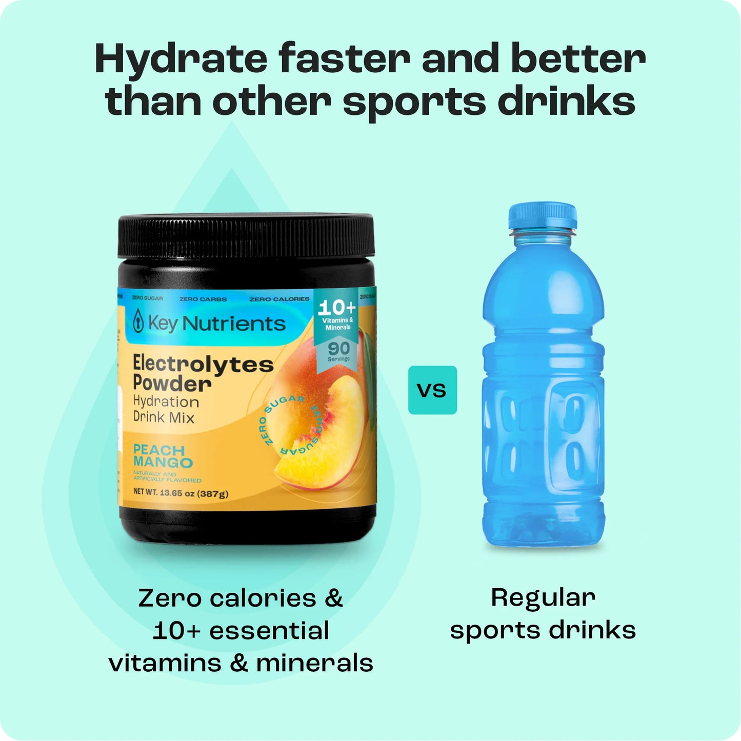 Electrolyte Recovery Plus Powder (Sugar-Free) - Tree of Life