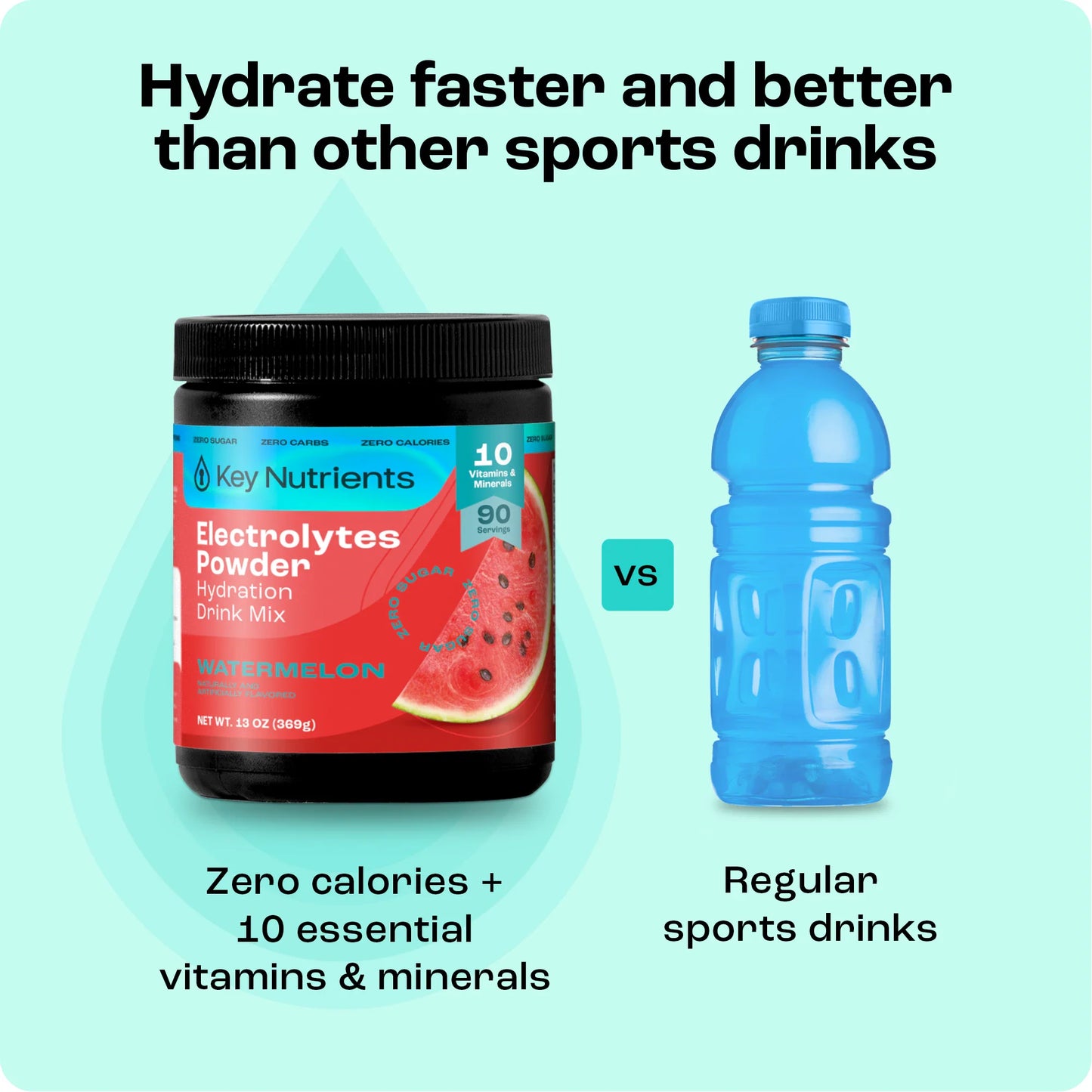 Electrolyte Recovery Plus Powder (Sugar-Free) - Tree of Life