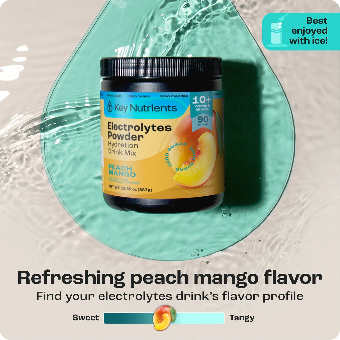 Electrolyte Recovery Plus Powder (Sugar-Free) - Tree of Life
